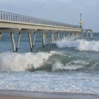 Carles Llanes i Gallardo