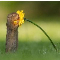 🫰🏼❤️N❤️🫰🏼