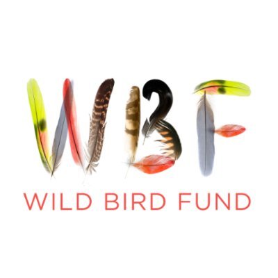 Wild Bird Fund