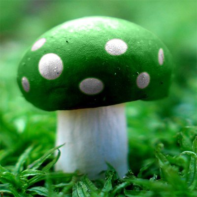 Sarafina 🌲👑 Forest Princess