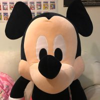 愛陽(あいひ)パパ or ソアリン