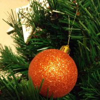 ほくしんさなこ