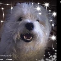 🏴󠁧󠁢󠁷󠁬󠁳󠁿Rosy🇨🇦®️