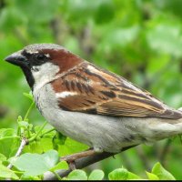 🎗️ נתניהו לדין על ה-7 באוקטובר🎗️ 🇮🇱