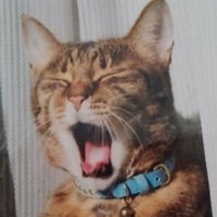 🎗にざえもん🎗🕊️