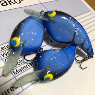 けんぴー　9.5F Lures