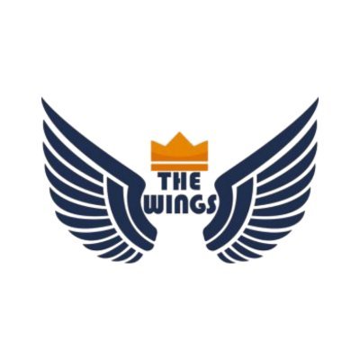 The Wings India