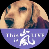 演出もサイコー💜