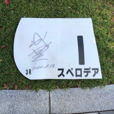 ばんてふ🦁更新🦁情報発信専用