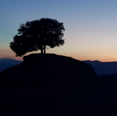 Mar Carrera Vendrell