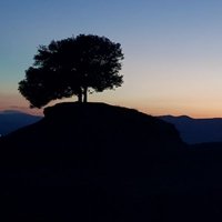 Mar Carrera Vendrell