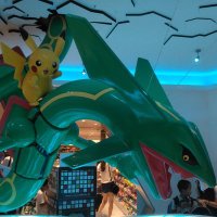 🐐万年青(おもと)♑