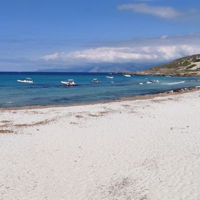 🇨🇵🇮🇹🇬🇧 PrincipeCostante