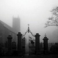 I Love America 🇺🇸