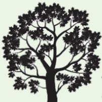 Palmerston Area Residents' Association