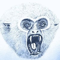 𝕄𝕖𝕝 𝔾𝕚𝕓𝕓𝕠𝕟