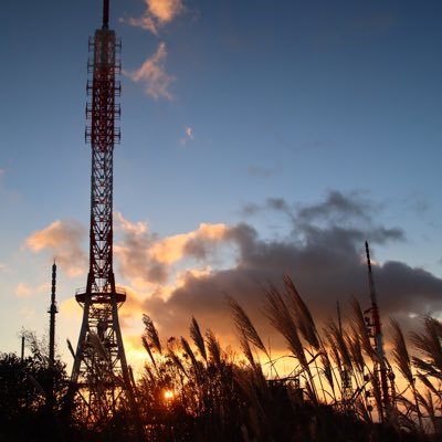 ヤマトミシズク