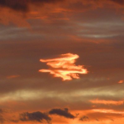 🇸🇮 22. marec - dan sramote