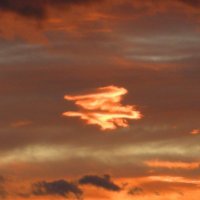 🇸🇮 22. marec - dan sramote