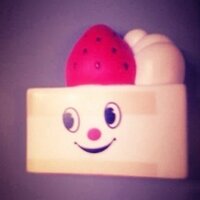 ハコ＠さすらう落とし物たちの写真集「のら」発売中！