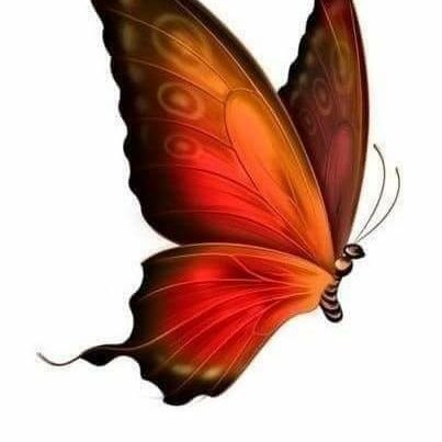 πεταλούδα..🦋🐶🐱🦊🐹🐿