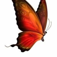 πεταλούδα..🦋🐶🐱🦊🐹🐿