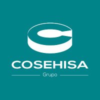 Grupo COSEHISA