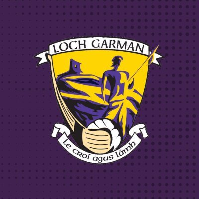 Wexford GAA