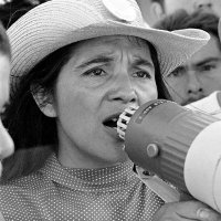 POP POP TACO VENDER 🌮🐾🇲🇽🇺🇸