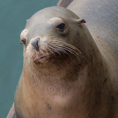 @alwaysthinkhow.bsky.social