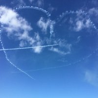 まー@ 運動不足の酔っ払いがあおもり桜マラソン2026 -フル目指します😆