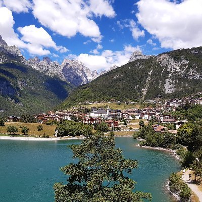 trilussa e il grillo