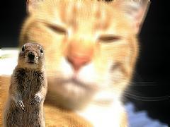 Dr 'Variant of Concern' Stip #BLM 😷🌈 🧶☠️ ☢️