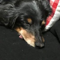 ♪ももんが♪@3000本目と3001本目に参加できる事になりました！感謝！