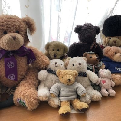 Alstroemeria🌺takane💍