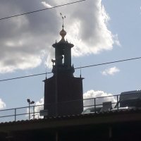 Arge Utlandssvensken