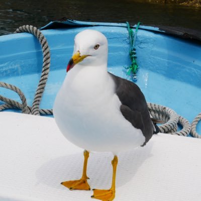 団体職員・ア・ゴーゴー