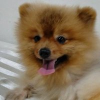 Dynamic LaLaY! 🤑😍🥰💗💓💞🤲