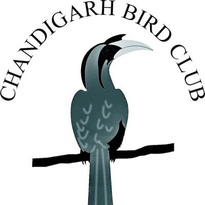 Chandigarh Bird Club