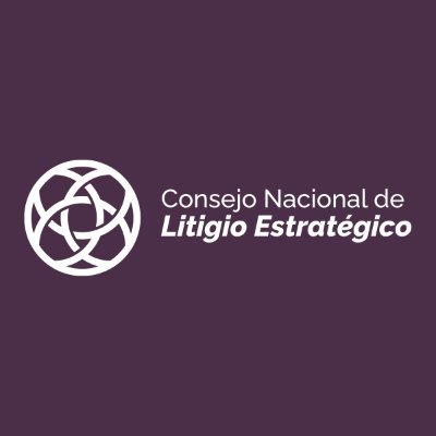 Consejo Nacional de Litigio Estratégico