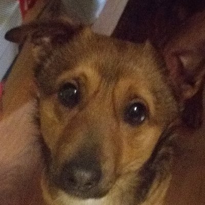 Poki-san 🏴‍☠️