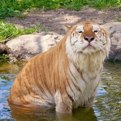 滑田 雅春(なめだ まさはる)