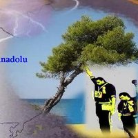 Kemal Reşit Bayar🇹🇷✌️🍁🙂