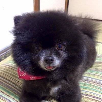 𝑪𝒊𝑴‌𝑨🫧⌛️