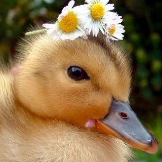 Pati_gal #UNIDOS SOMOS MAS