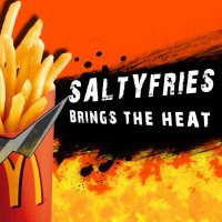 Saltyfries
