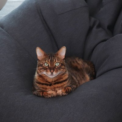 알딘_R.Dean 🪴👗🐈 🐶🐍🎮