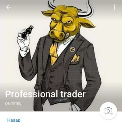 professional trader