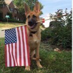 Trump was Epstein's Biggest Client