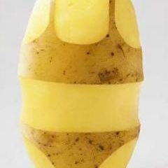 C͟͞a͟͞p͟͞t͟͞a͟͞i͟͞n͟͞ P͟͞a͟͞t͟͞a͟͞t͟͞e͟͞